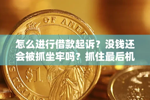 北京怎么进行借款起诉？没钱还会被抓坐牢吗？抓住最后机会！