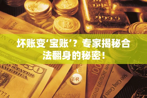 北京坏账变‘宝账’？专家揭秘合法翻身的秘密！