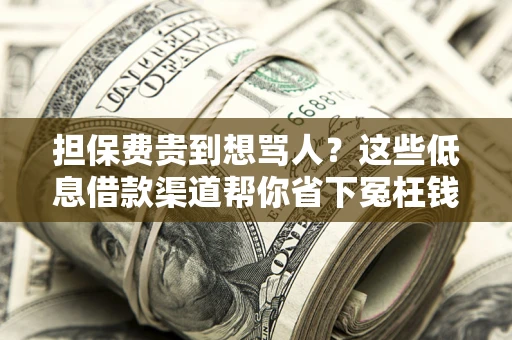 北京担保费贵到想骂人？这些低息借款渠道帮你省下冤枉钱