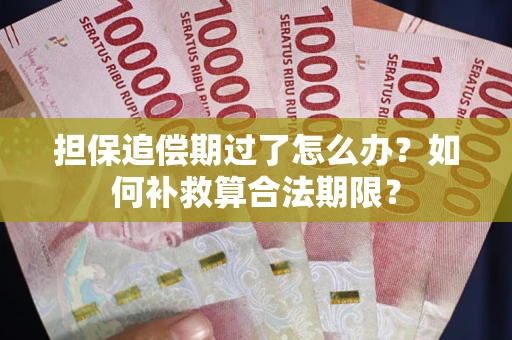 北京担保追偿期过了怎么办？如何补救算合法期限？