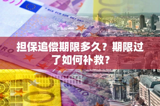 北京担保追偿期限多久？期限过了如何补救？