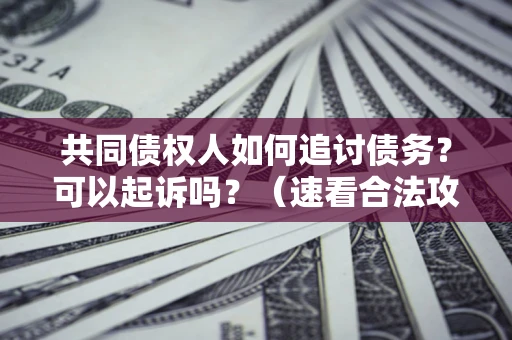北京共同债权人如何追讨债务？可以起诉吗？（速看合法攻略）