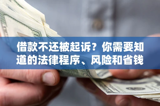 北京借款不还被起诉？你需要知道的法律程序、风险和省钱技巧